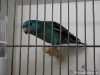 dscf5539