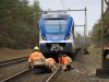 MBNL-4135