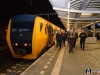 MBNL-0567